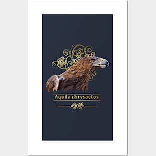 Golden Eagle Posters and Art